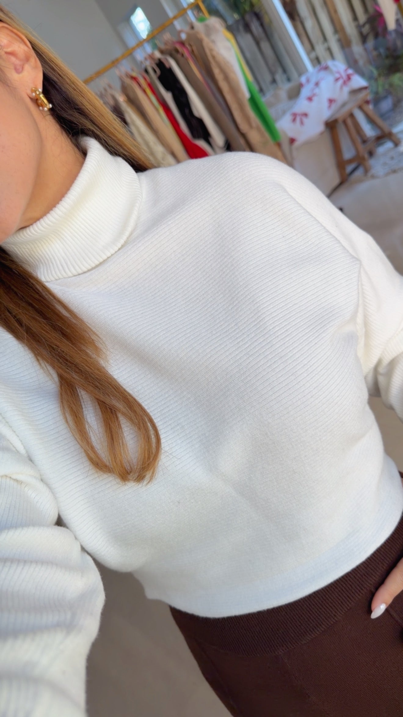 Millie Turtle Neck Crop Sweater